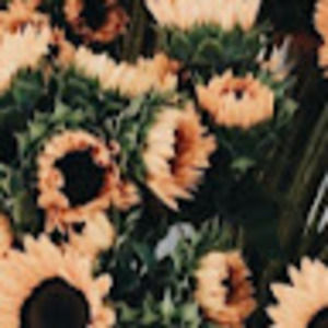 Meet your Posher, Marisa